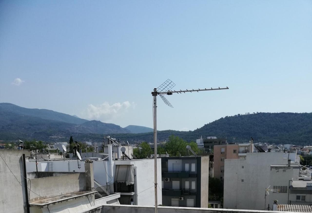 דירות וולוס Bohemian Loft With View! מראה חיצוני תמונה